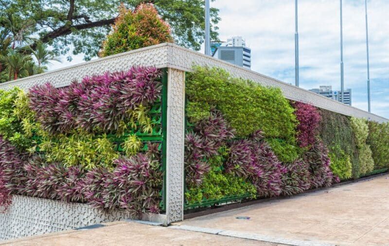 jardins caóticos