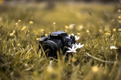 Lente macro: o que é e como fotografar de perto?