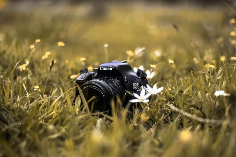 Imagen de Lente macro: o que é e como fotografar de perto?