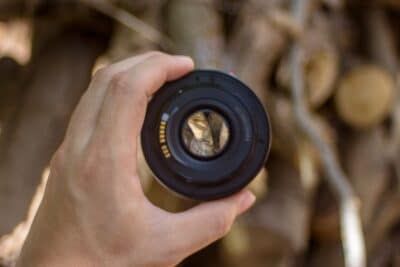 Lente zoom ou lente fixa (prime): qual escolher?